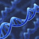 dna