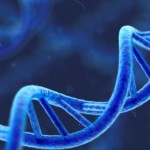 dna